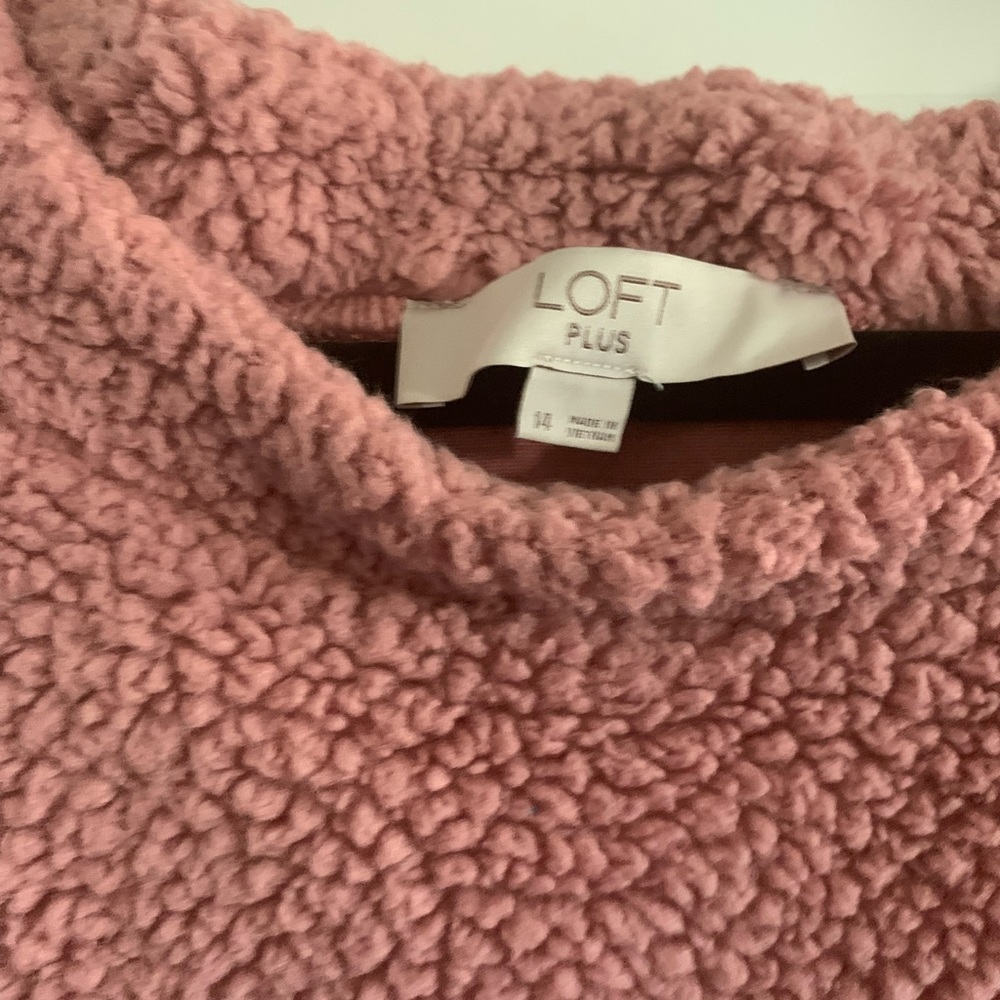 Sweater - Picture 4 of 5